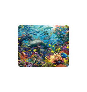 Obrázek z Magnet 3D 7x9cm - delfíni (25) 